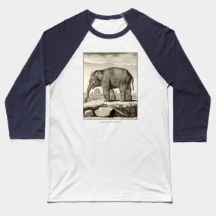 18th C. Female Elephant Baseball T-Shirt